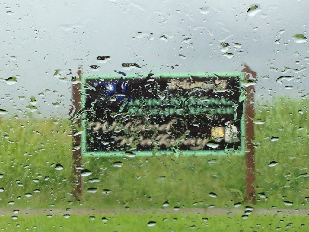 I wanted to hike the wetlands walk way.. Just raining to hard