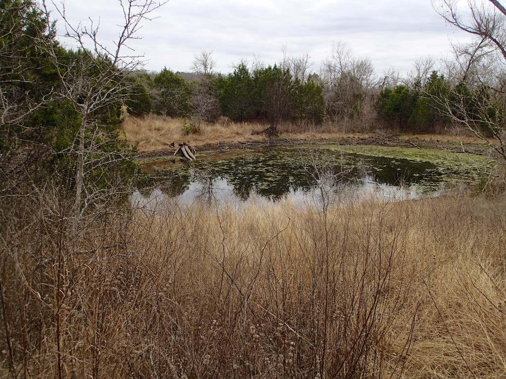 It loops around this cool pond 