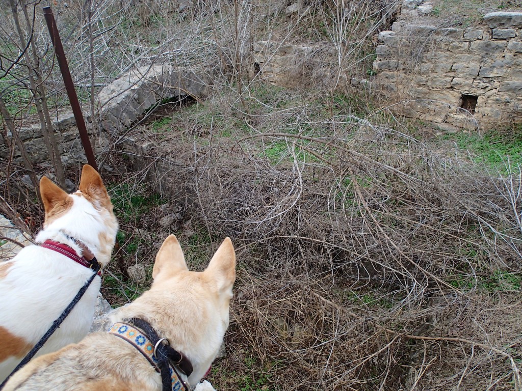 Chief and Cachina check out the ruins 