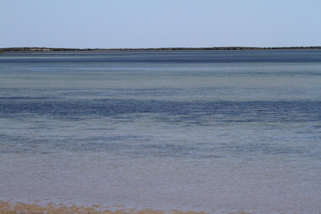 Laguna Madre