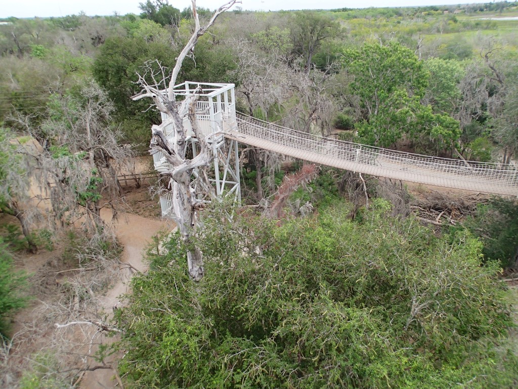 The Suspension bridges starting tower 