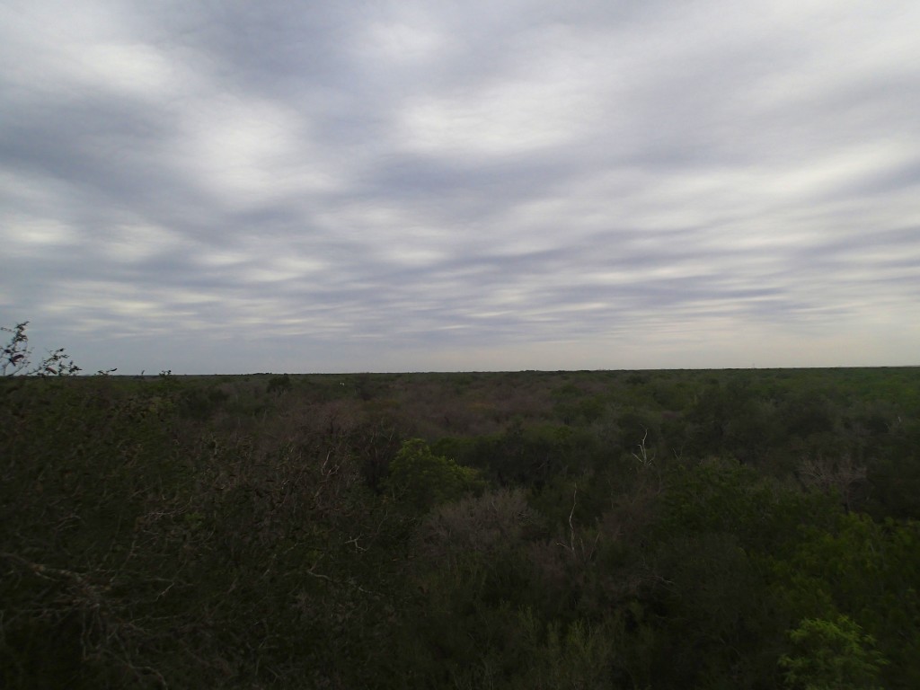 Early morning in the Rio Grande Valley 