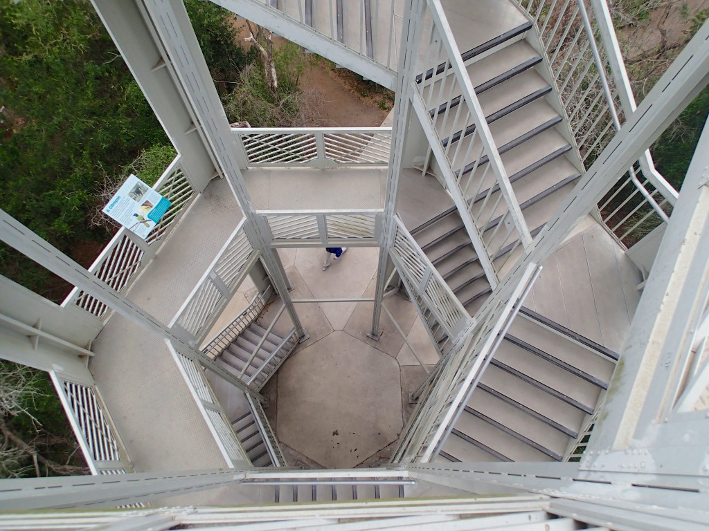 Climbing the raptor tower 