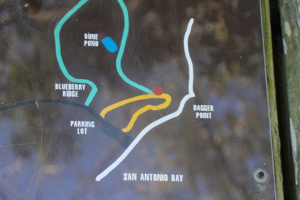 The Map at the mid point 