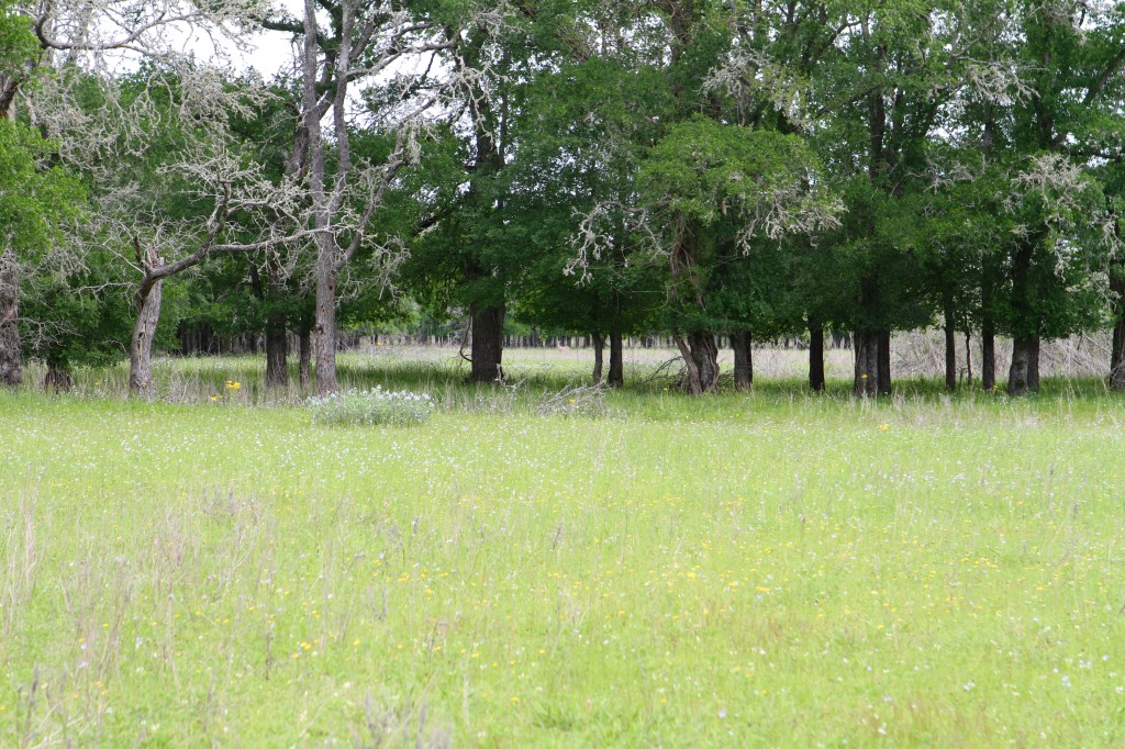 The overland portion of the canal trail 